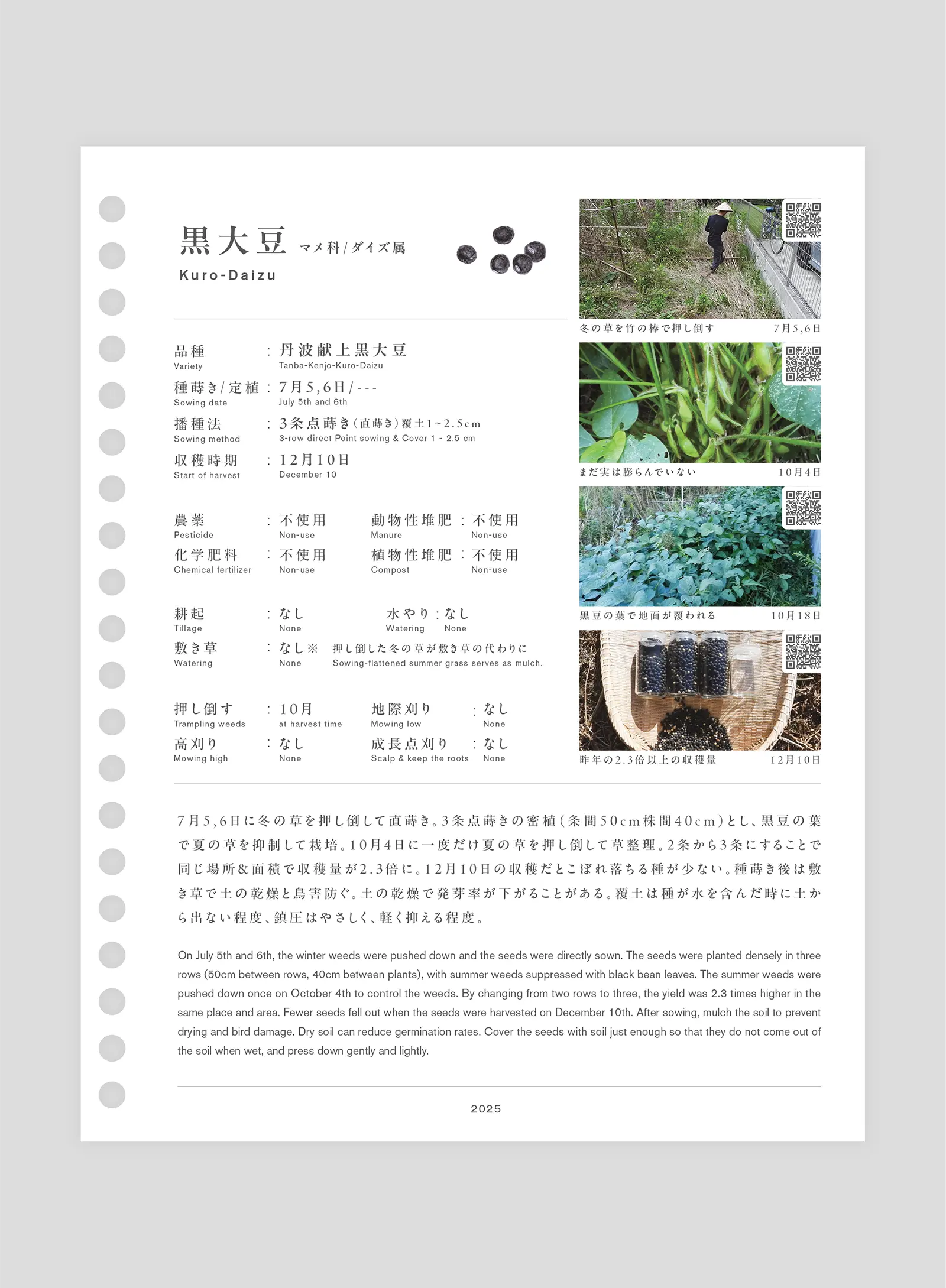 丹波献上黒大豆